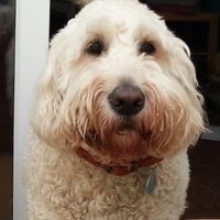 Gayle Hazelby (@gaylehazelby) 's Twitter Profile Photo Gayle Hazelby (@gaylehazelby) 's Twitter Profile Photo
