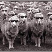 WoolE7's profile picture. Wool ravel-utionaries. A tree near you in E7.