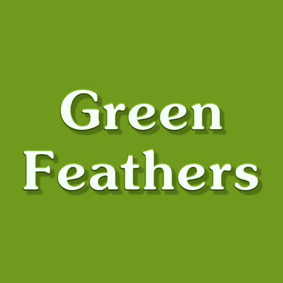 Green Feathers Documentary http://t.co/L4EBH0BK4n http://t.co/7V2ymP1Nh4 #crowdfunding @FlairCreativ