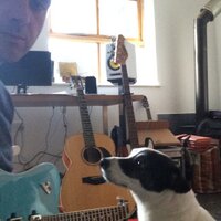 Alun (@aluntanlan) 's Twitter Profile