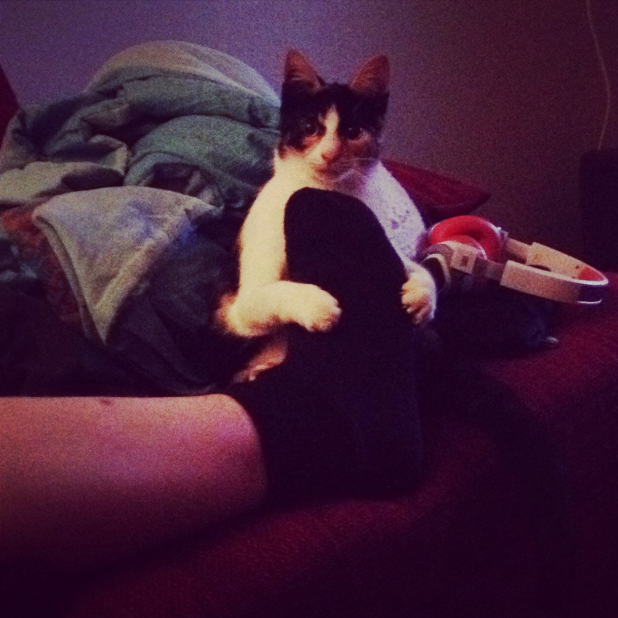 sannevanos89's profile picture. 