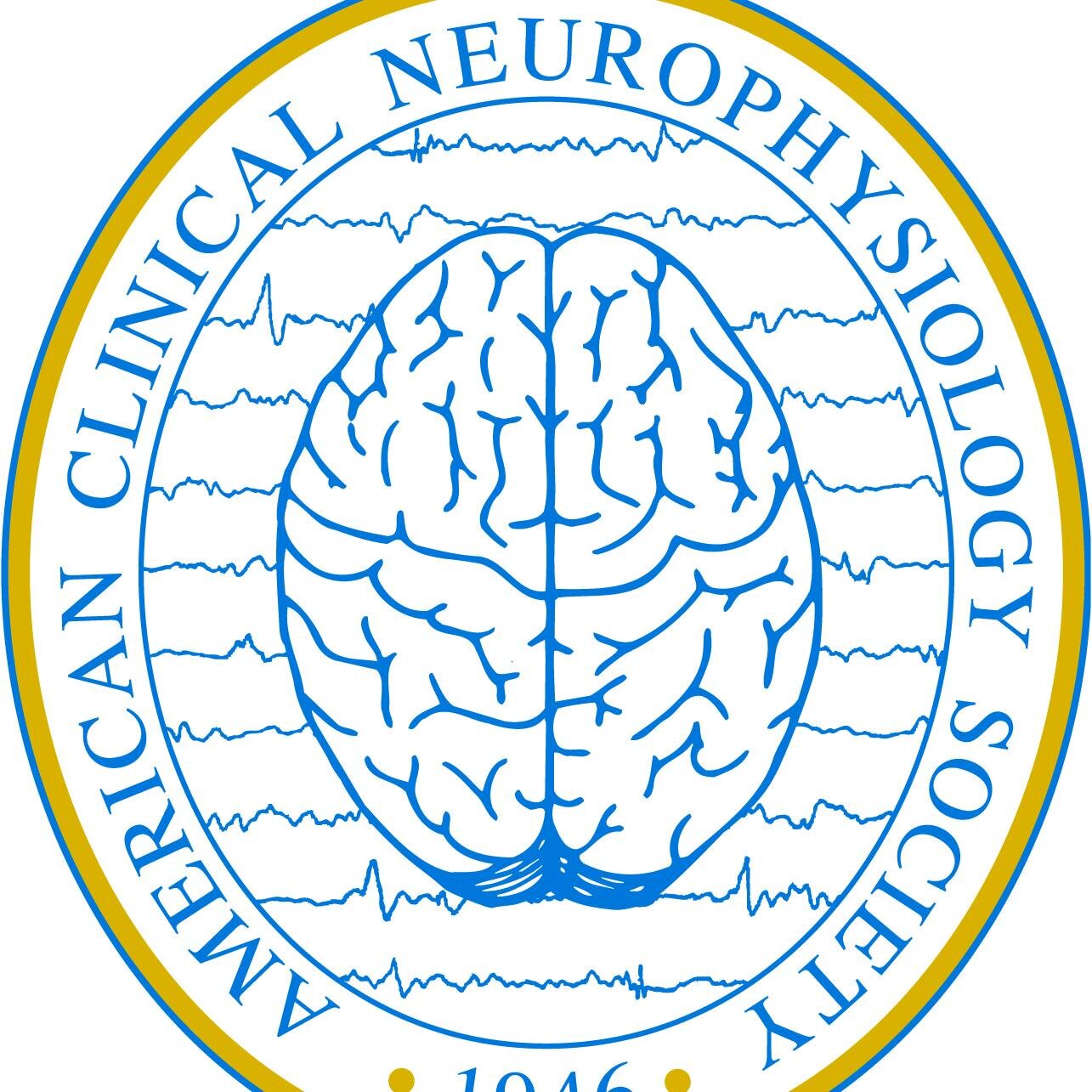 The American Clinical Neurophysiology Society (ACNS) is a professional association dedicated to fostering excellence in clinical neurophysiology.