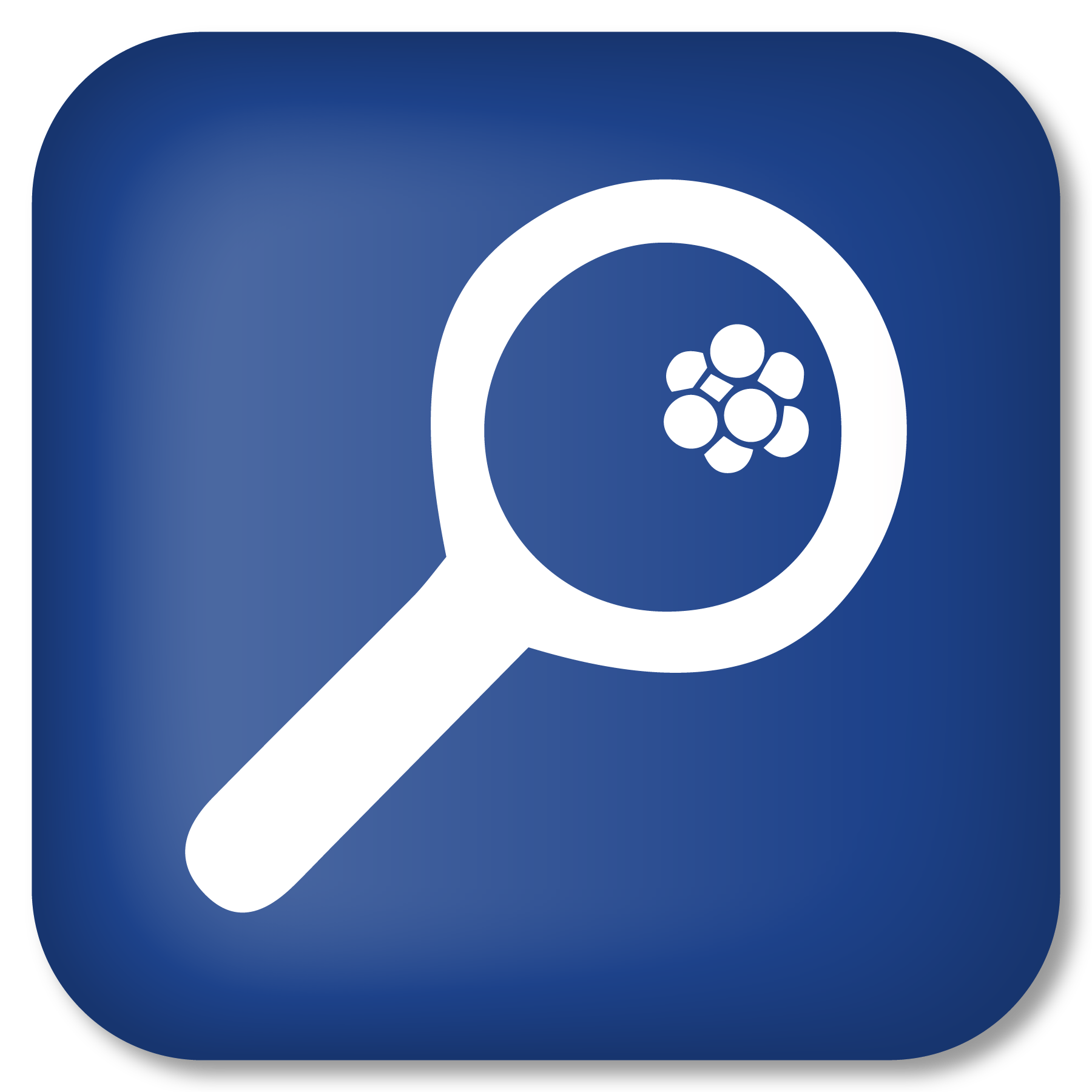 honorsresearch's profile picture. 