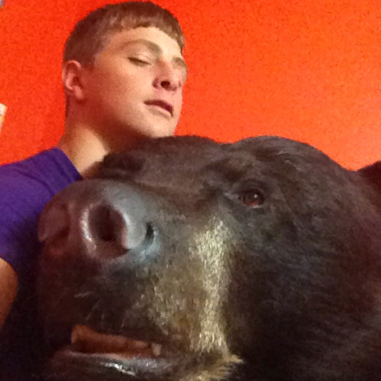 dylan__lewis7's profile picture. WE GONE SHOOT SHIT UP IN PUBLIC