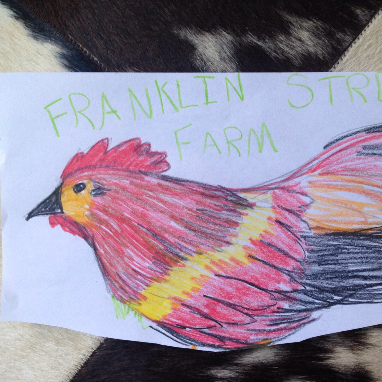 Bee herding, chicken chasing and other adventures. Kids are starting a honey biz - follow the start up process!