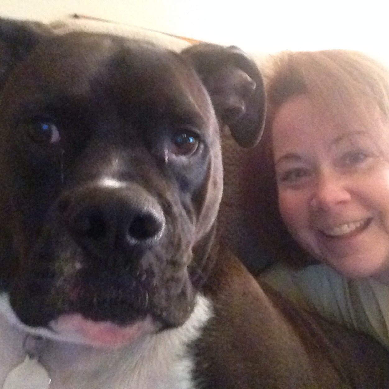 LuannMoraski's profile picture. 