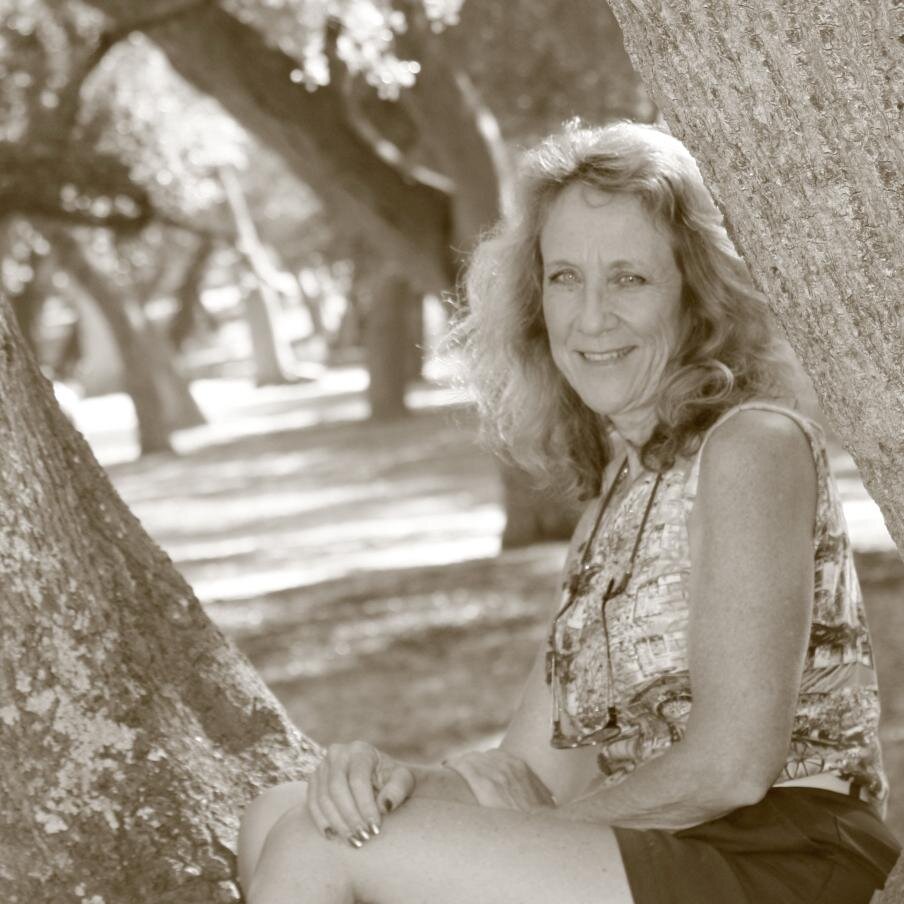 2019 year - Dana Taylor USA 2019 year