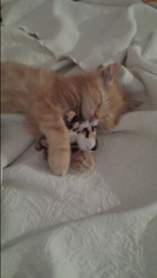 befitboutique's profile picture. 