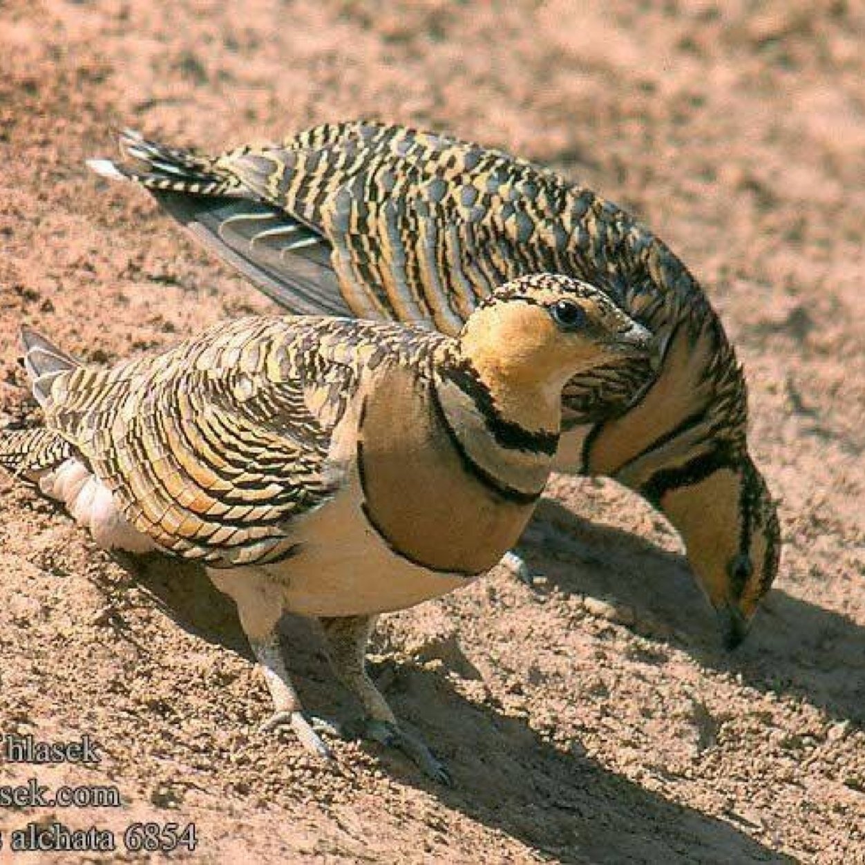 nooriabdalkader's profile picture. 