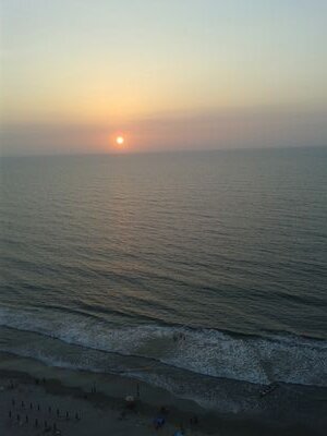 sandramunoz890's profile picture. 