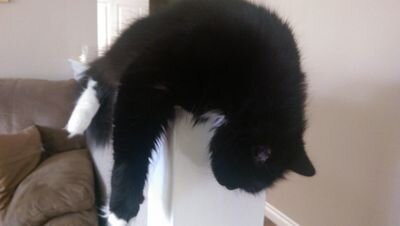 k999dan's profile picture. musician, sailor, life wanderer, school of hard knocks.