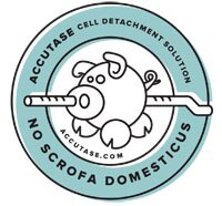 Small (but mighty) biotech business & manufacturer of Accutase cell detachment solution - the superior replacement for trypsin in all stem cell culture.