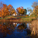 Phil Millard - @pilikea - Twitter