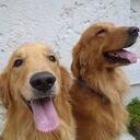 carmenmarine's profile picture. Ingeniero Civil