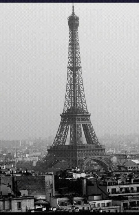 lunanoventa95's profile picture. 