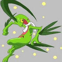 Razor (@razorleafmaster) 's Twitter Profile