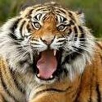 Get the part (@getthepart) 's Twitter Profile