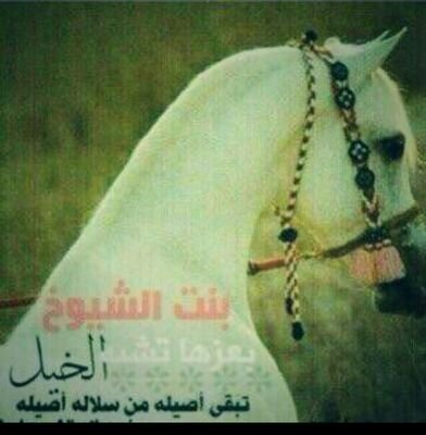 شيخة غلا ماني مثل باقي الناس بنت(ن) على كل البني مستشيخه أمشي لحالي دون طابور حراس الحارس الله يوم خلاني شيخه ‏‏الشمرية الخاااص ممنوع