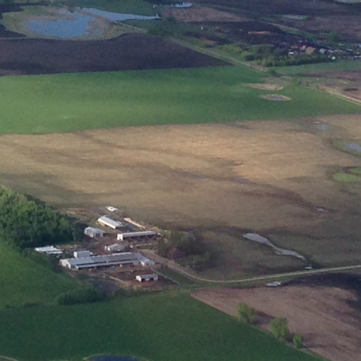 Dairy farmer at Appel Dairies ltd