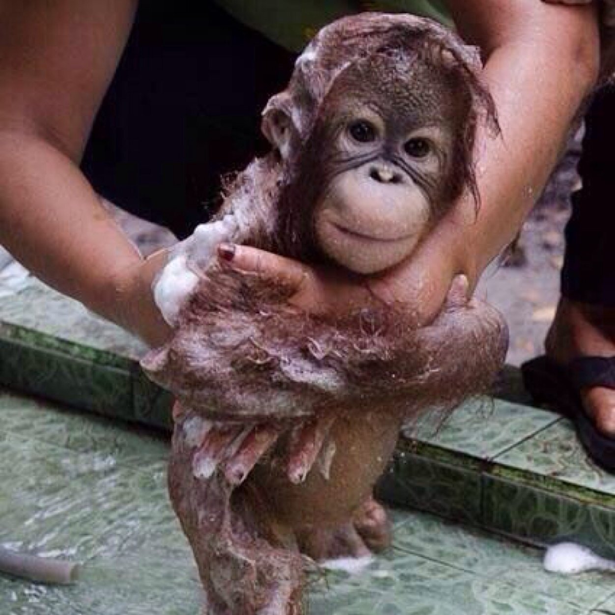 love_luliluli's profile picture. 