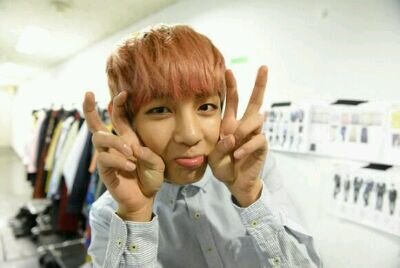 follow back guys :)  |alien lover | A.R.M.Y