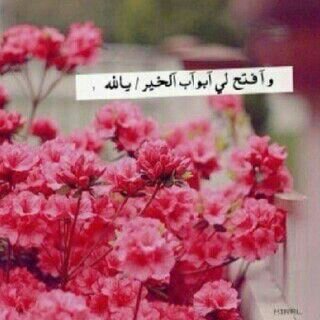وآللي يبي فرقآك يَ كثر ﺎلأعذار .. اي احد في الخاص بلوووك