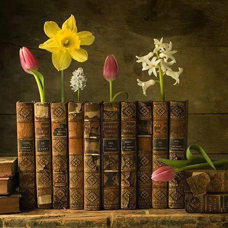 FOGLiteraryAgt's profile picture. Representing great fiction & nonfiction authors in a variety of genres.