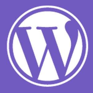 Minneapolis-St. Paul WordPress User Group