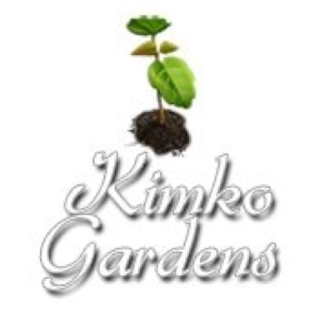kimkogardens's profile picture. Professional Garden Design & Landscaping, Irrigation Installations and Instant Lawn