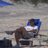amyjo2603's profile image