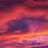 dwatchnews's avatar