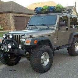 izzy1dog's profile picture. 