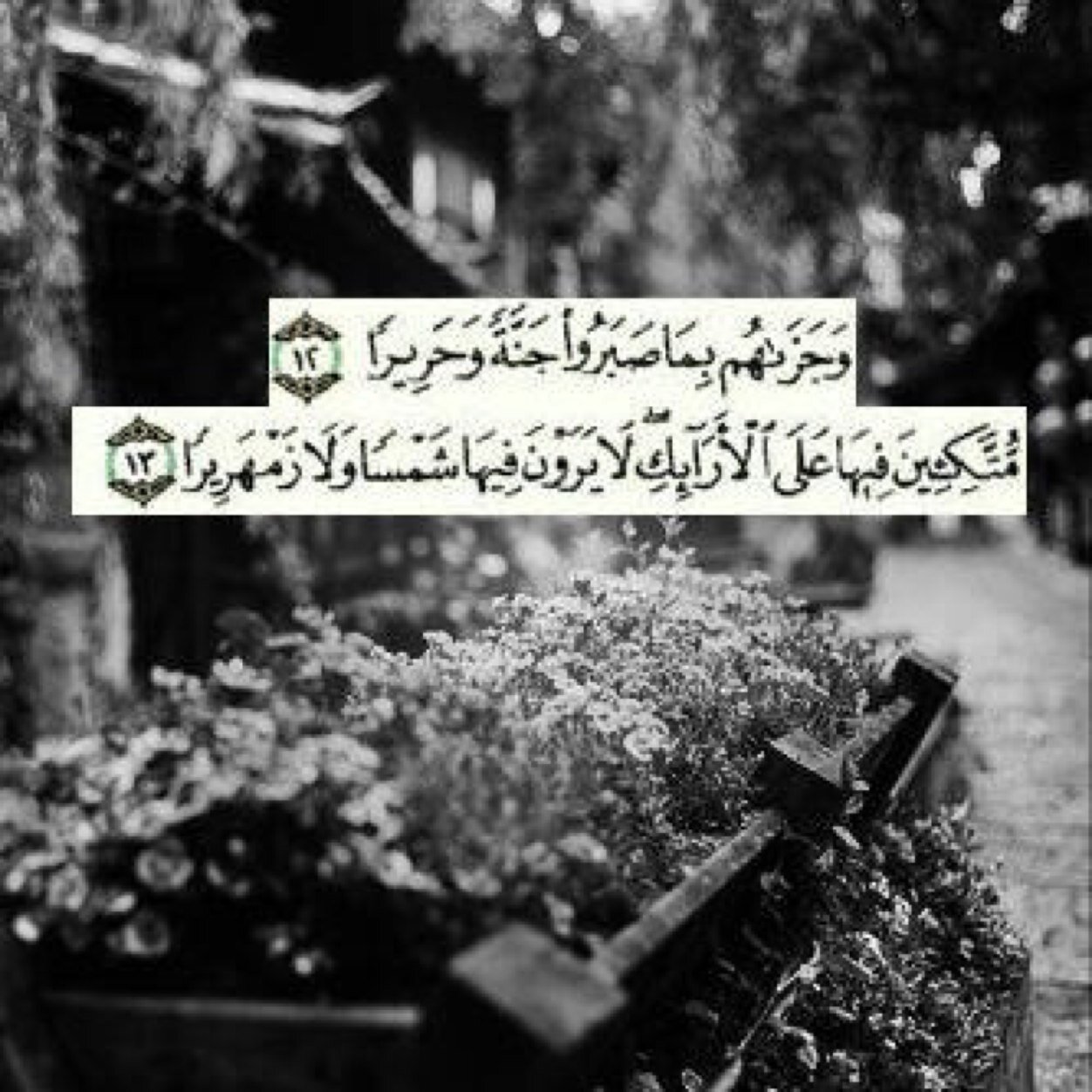 استغفرالله واتوب إليه ..