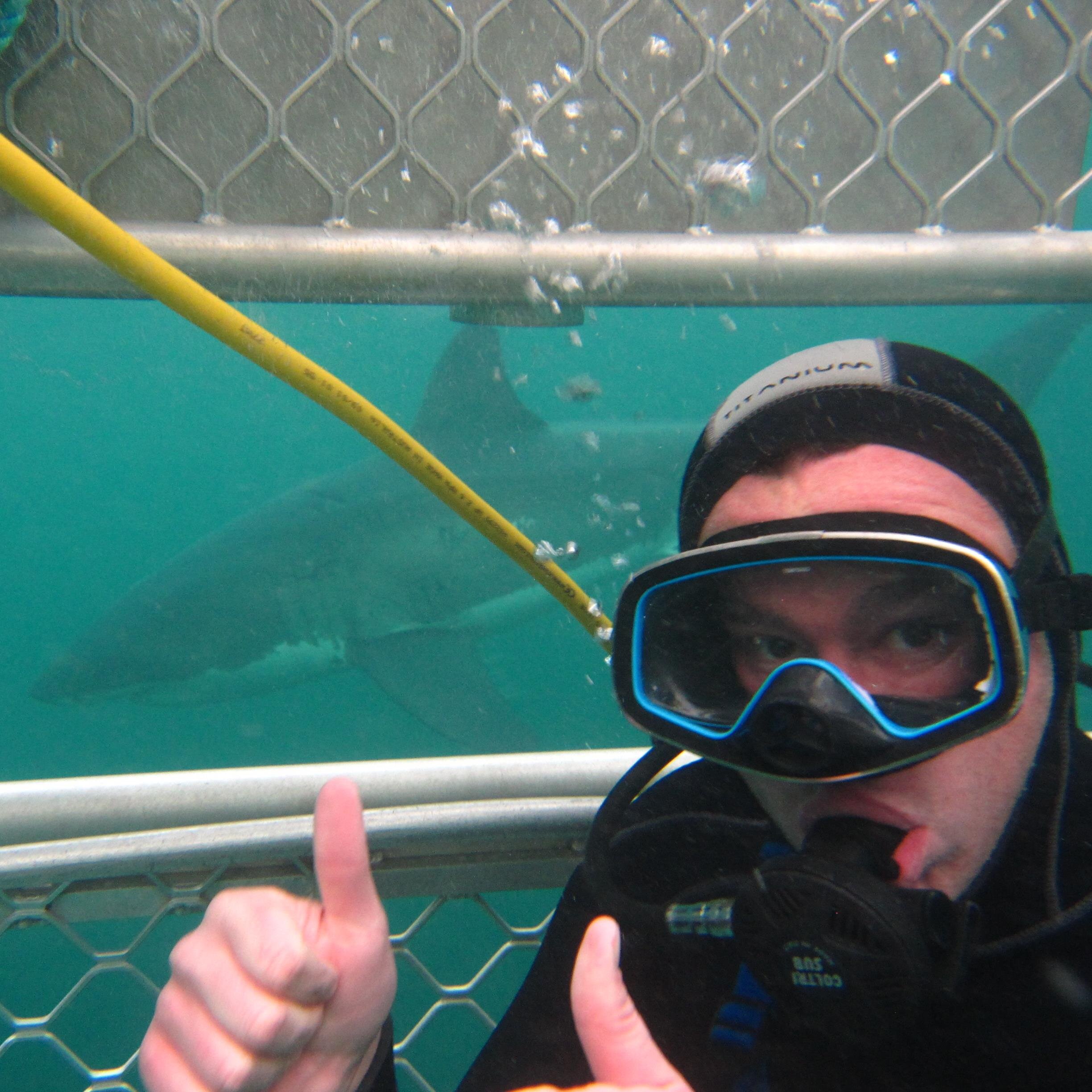Face to face with the Great White Shark 19.01.09 (South Africa) & 17.03.12 (South Australia). 31.05.14 (New Zealand)