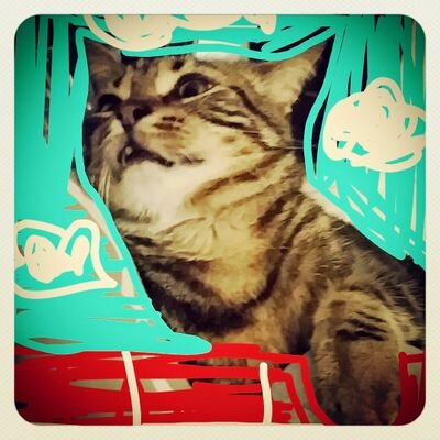 AlBysmal's profile picture. Do you ever wonder, what can happen under, under the umbrella tree?