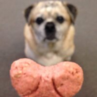 Mammoth (@mammothstweets) 's Twitter Profile