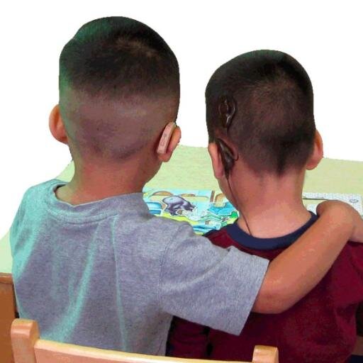 NC4LSL's profile picture. NC Community for LSL is committed to helping children with hearing loss achieve their fullest potential as independent members of society.