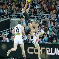 Scott White (@thewhiteman81) 's Twitter Profile