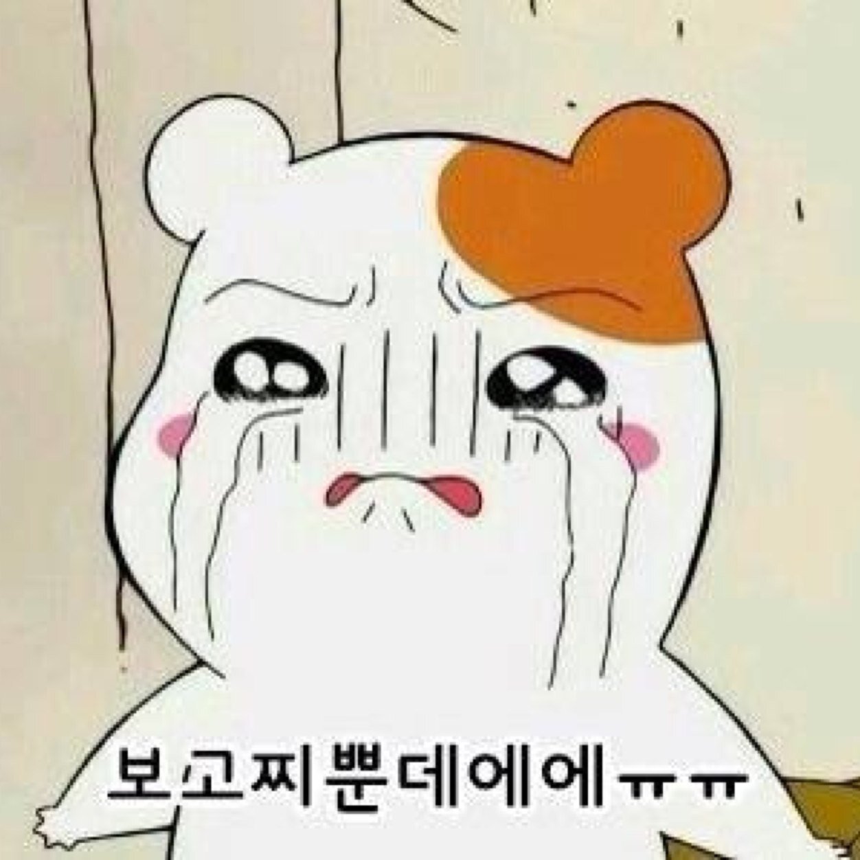 dkrakdmlrns's profile picture. 78/부천/가산/