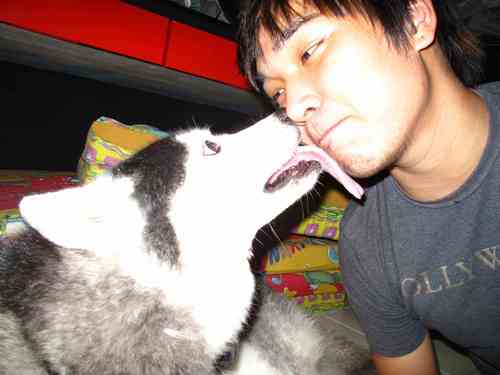 mikhthumbelina's profile picture. degradable