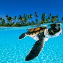 elvia lopez - @elvialo56480294 - Twitter