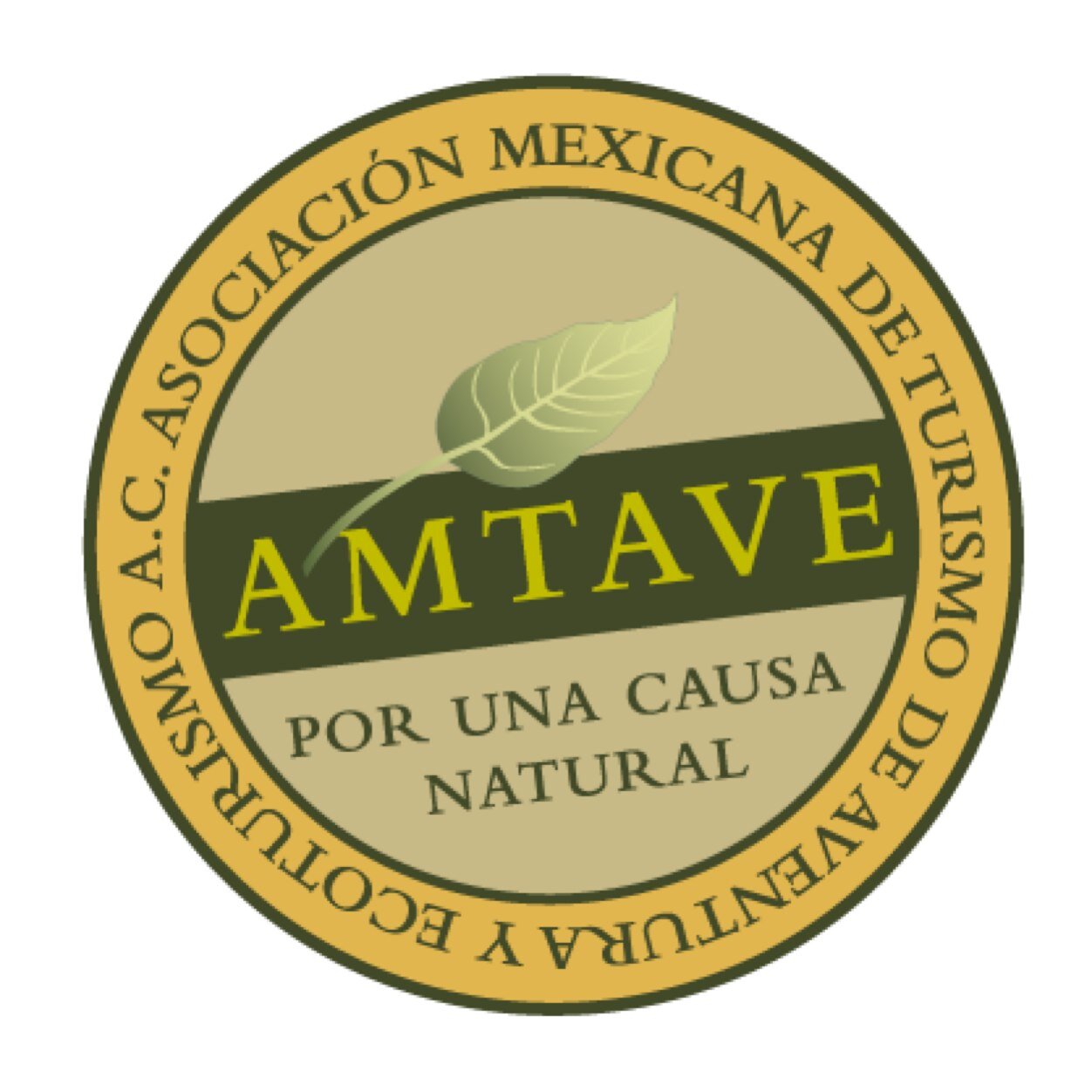 Asociación Mexicana de Turismo de Aventura y Ecoturismo. Delegación Chiapas.