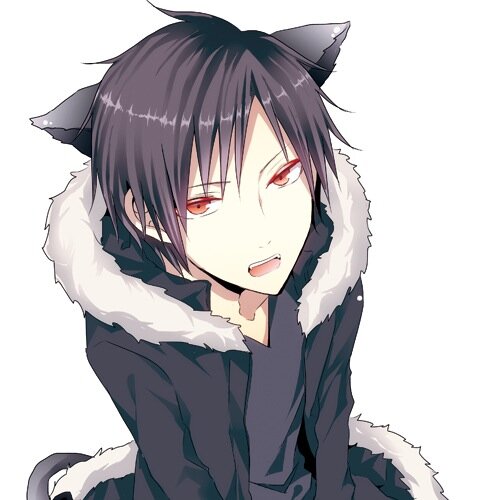 I'm not as bad as you think I am, come play with me and you'll see that i'm right~ In a relationship with @FluffySpazz ((DRRR #RP #R18 #Neko!Izaya ))