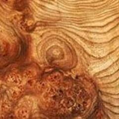 GraceLan1er's profile picture. Evil beer specialist ;  Certified beer buff .  ,   3 years - Evil bacon aficionado