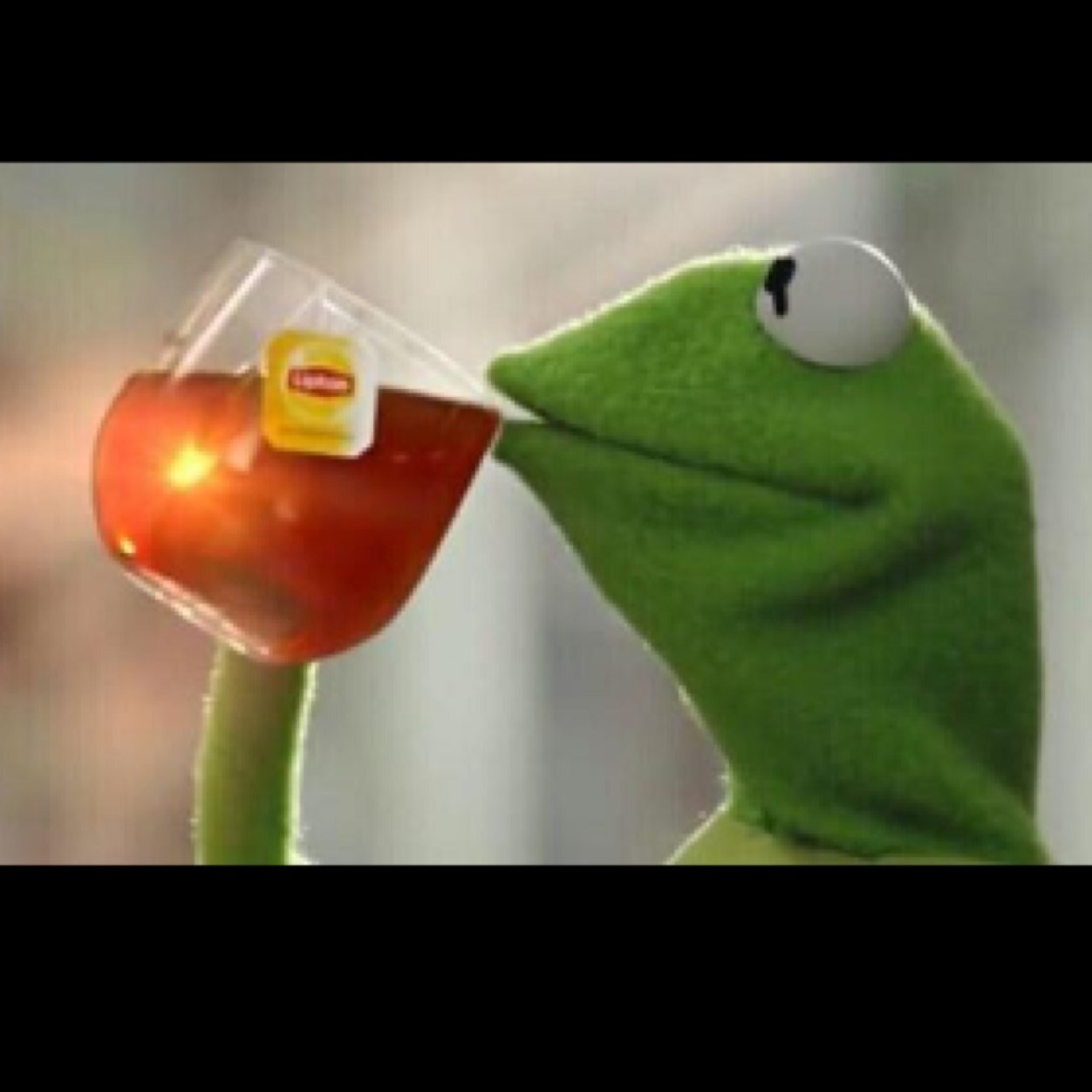 But That's None Of My Business (P.S Kermit likes the Booty Pics)