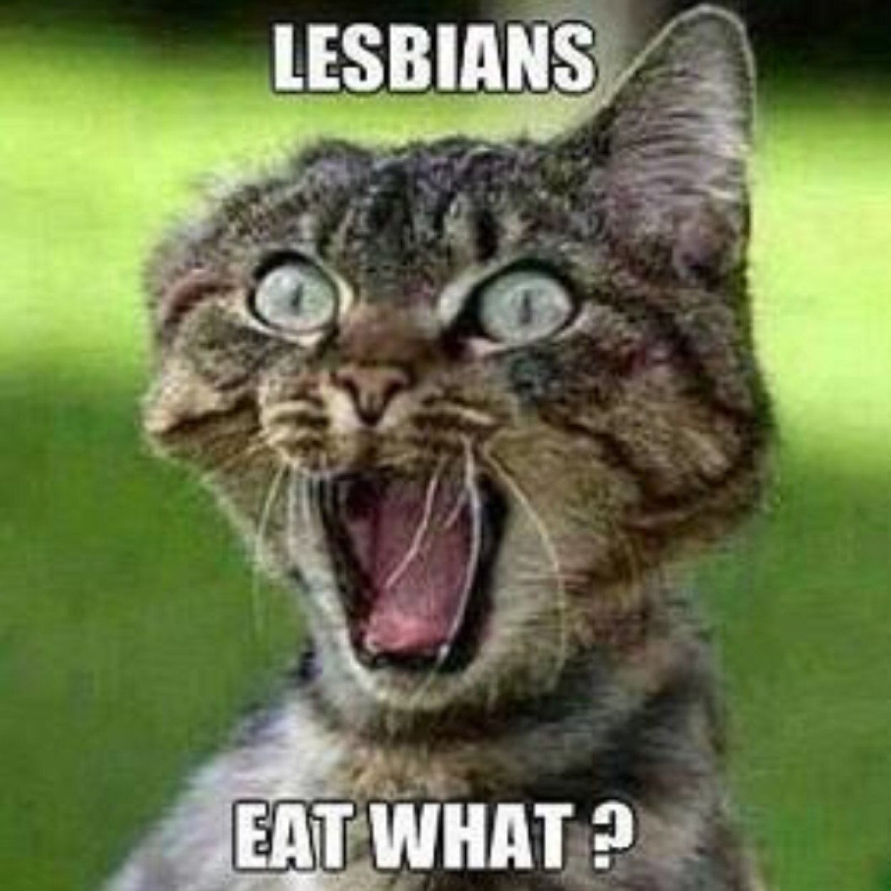 Caution! I post adult content. Under 18 or easily offended? You have been warned. I don't claim ownership to any pics, want something removed just ask.