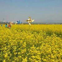 꿀꿀 (@tjswjd122) 's Twitter Profile