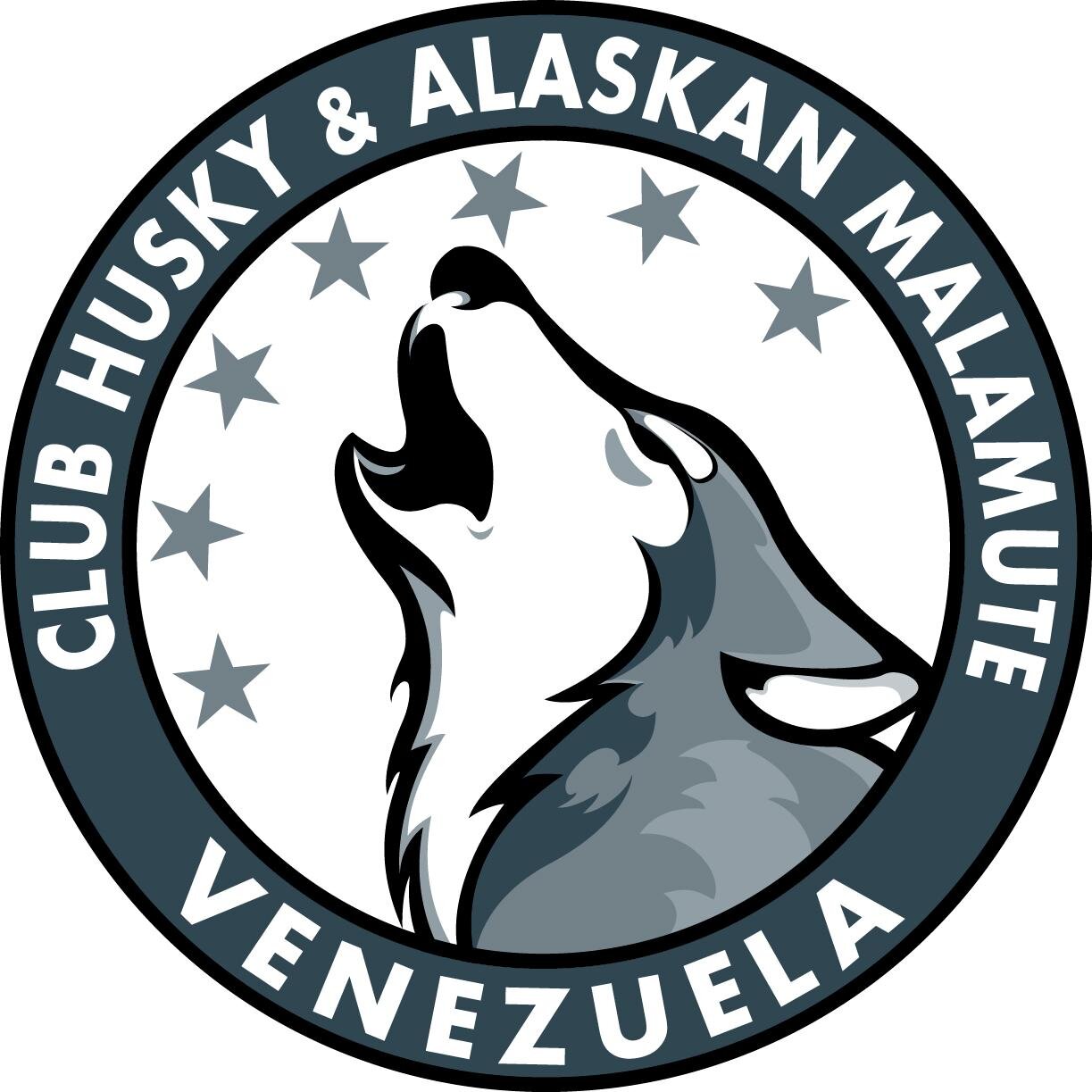 HuskyAlaskanV's profile picture. Aullidos a la luz de caracas, huskyes dominicales, malamutes por doquier... Mushing venezolano #husky #caracas