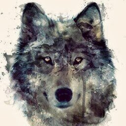 HALCON008's profile picture. vivo la vida con gran intensidad.  !!!!!