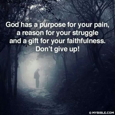 sscales45's profile picture. 